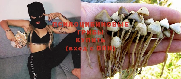 крисы Балахна