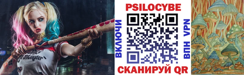 закладка  Шумиха  Псилоцибиновые грибы мухоморы 